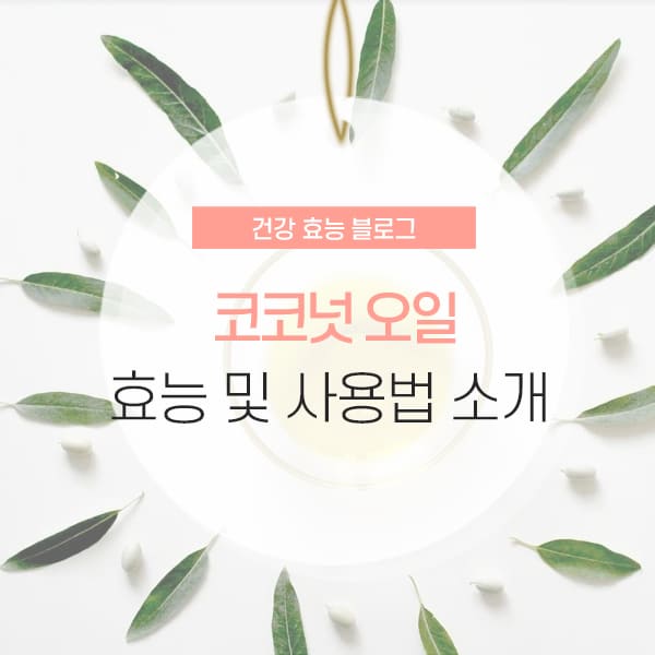 코코넛 오일 효능 및 사용법 소개 컨텐츠