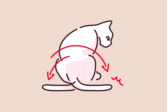 고양이가 꼬리를 크게 펄럭이는 일러스트