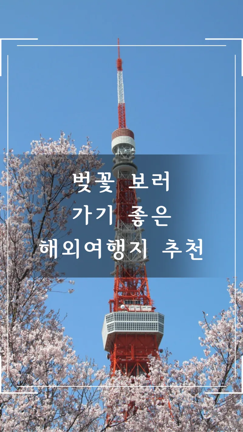 벚꽃 보러 가기 일본
