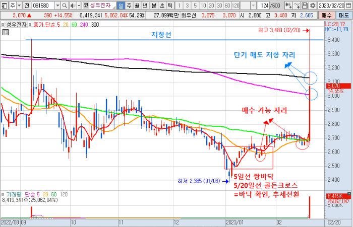 2월 20일 성우전자 일봉 차트