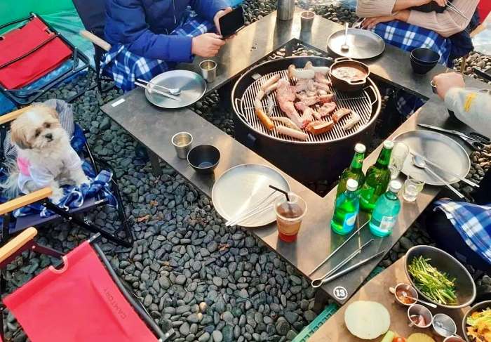 생방송투데이 하남 검단산 직접 기르고 도축 캠핑 텐트 돼지고기 모둠 바베큐 구이 맛집