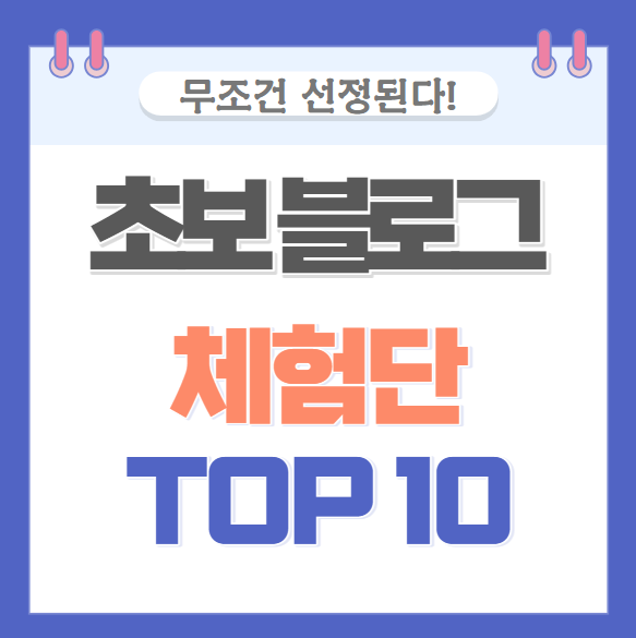 블로그 체험단 초보도 참여 가능한 사이트 TOP10