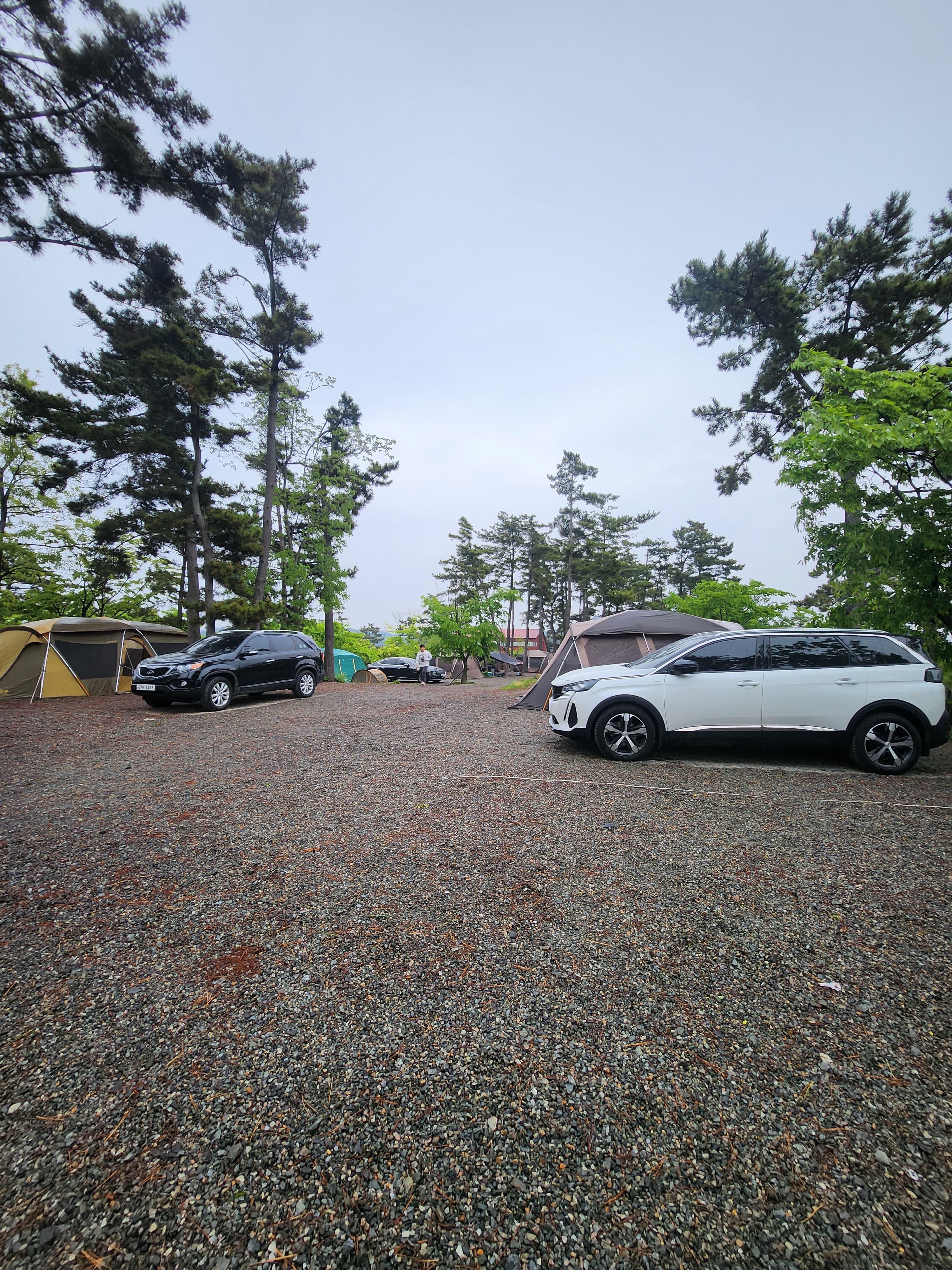 태안 캠핑장 추천