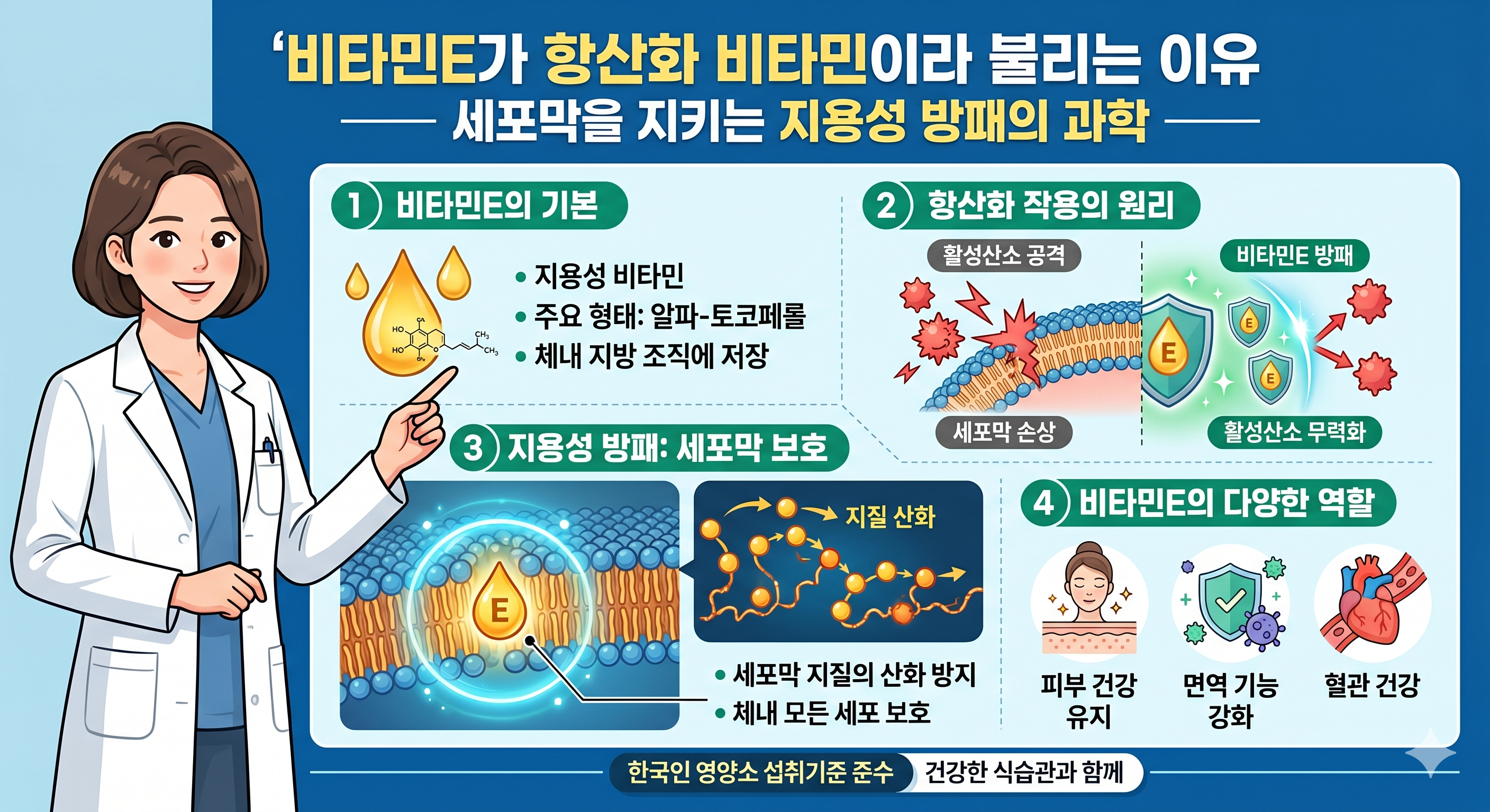 비타민E가 항산화 비타민이라 불리는 이유