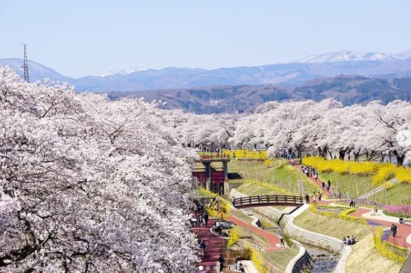 마츠이가든