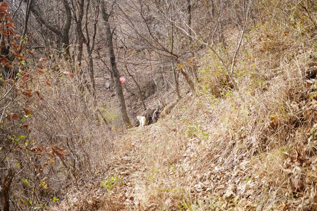 산중에 스님 과 백구