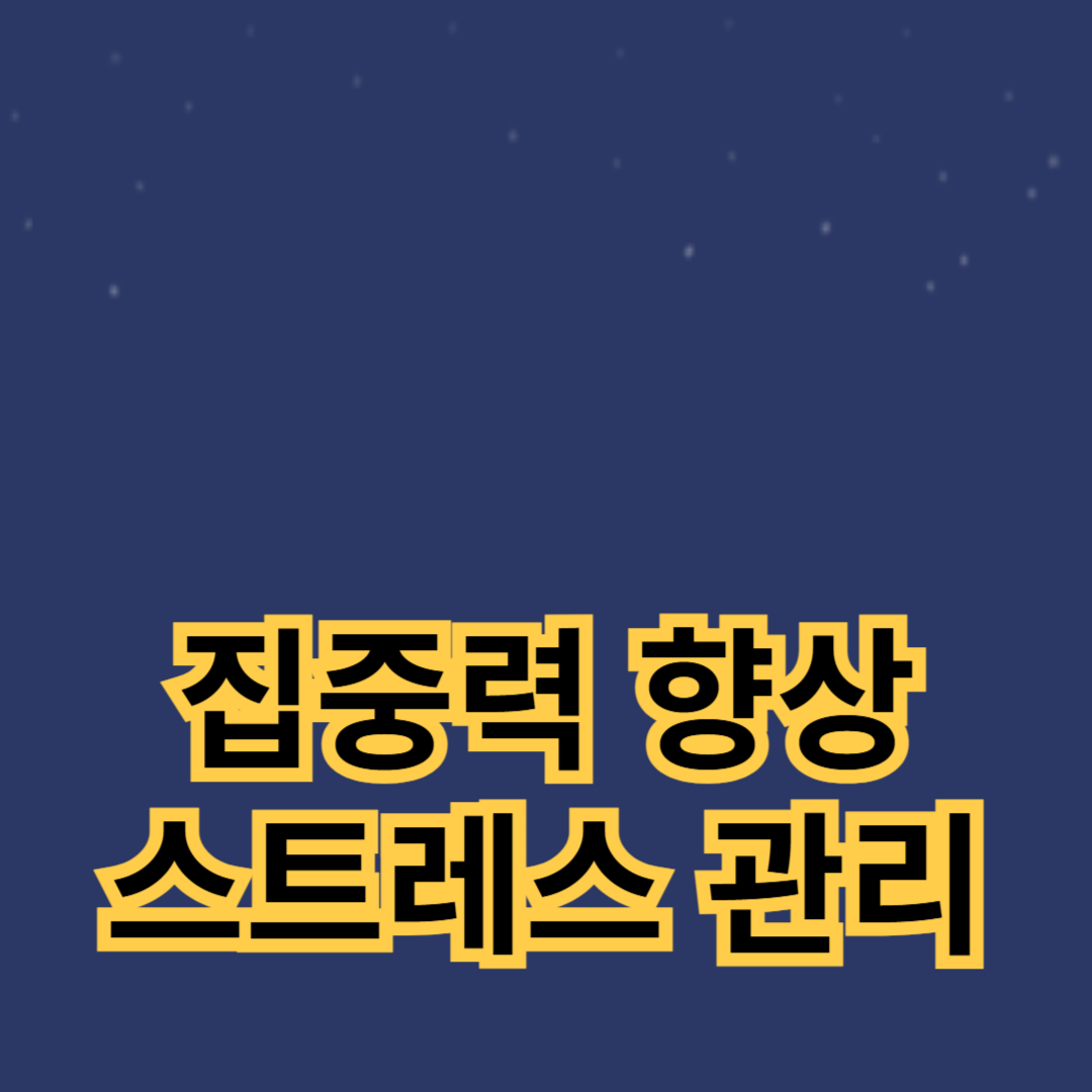 집중력 향상과 스트레스 관리