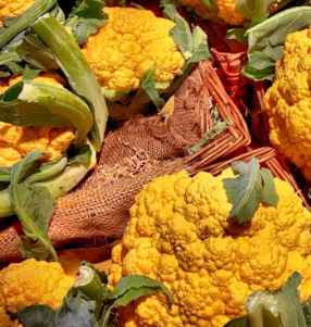 콜리플라워 효능 성분 먹는방법 부작용 고르는법