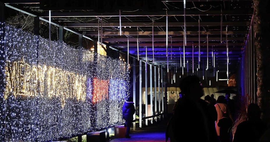 함평 겨울 빛축제