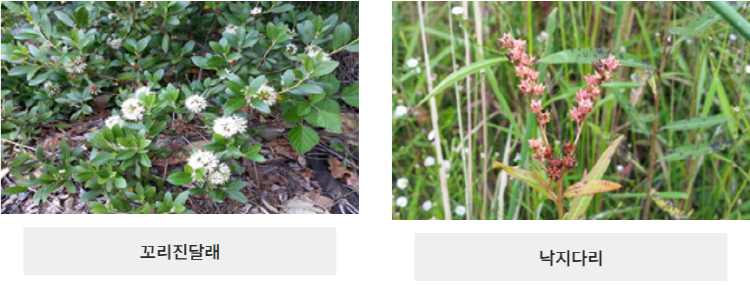 문경 돌리네습지