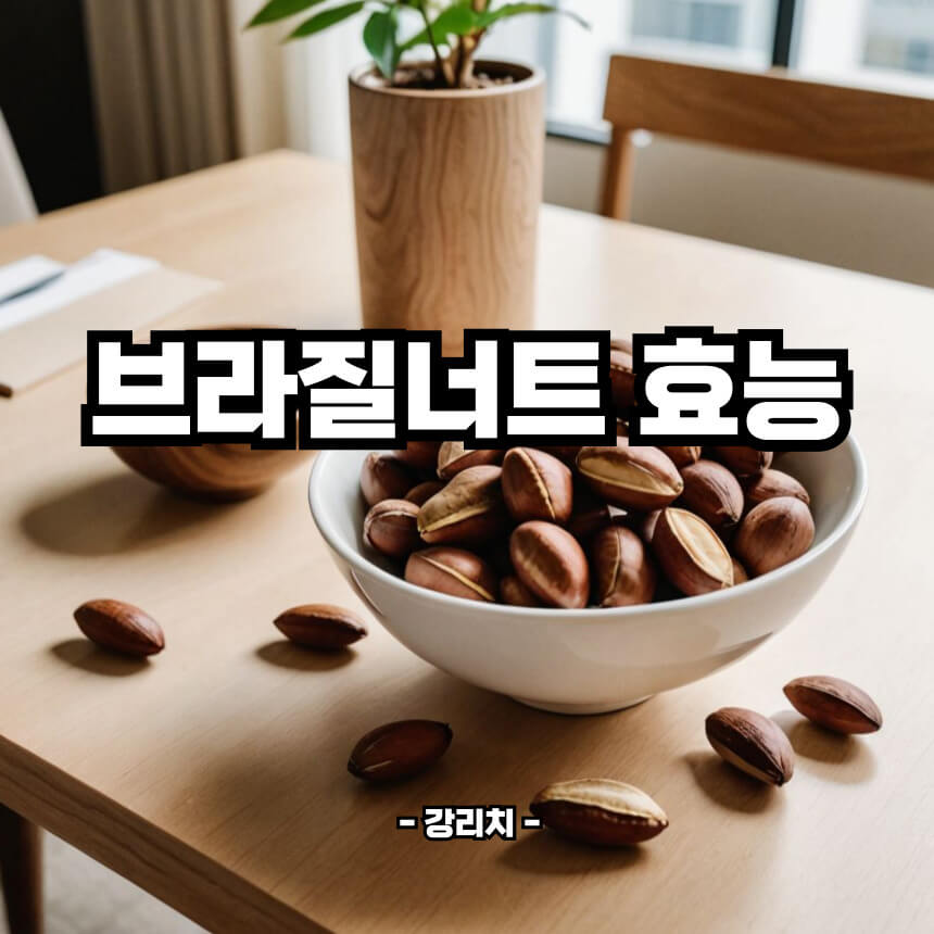 브라질너트 효능