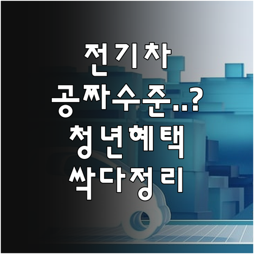 생애 최초 전기차 구매 지원금 청년 ..