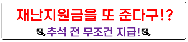 재난지원금
