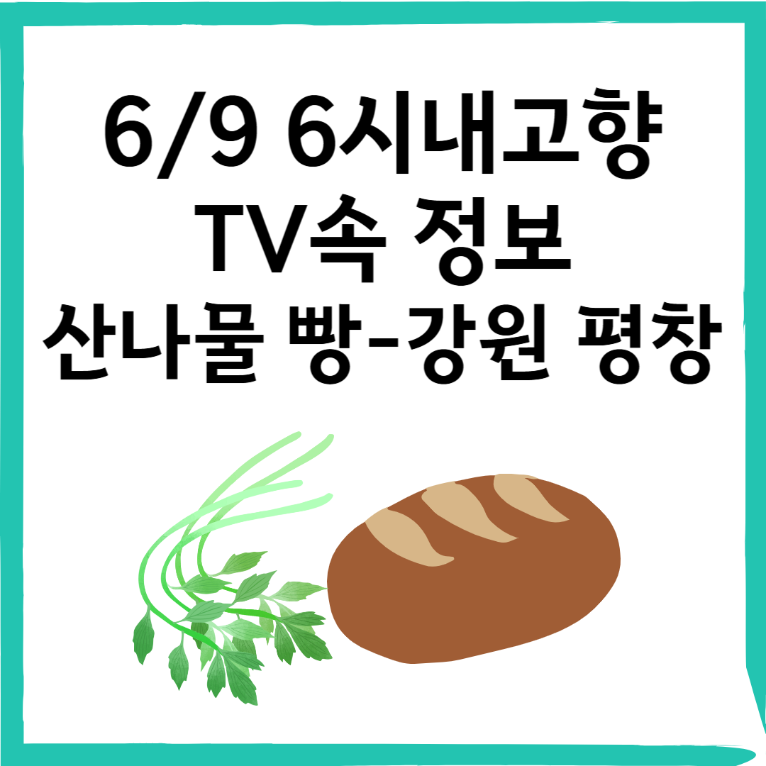 6/9 평창 산나물 빵 맛집! 거커리숲 카페 위치 &amp; 정보 총정리