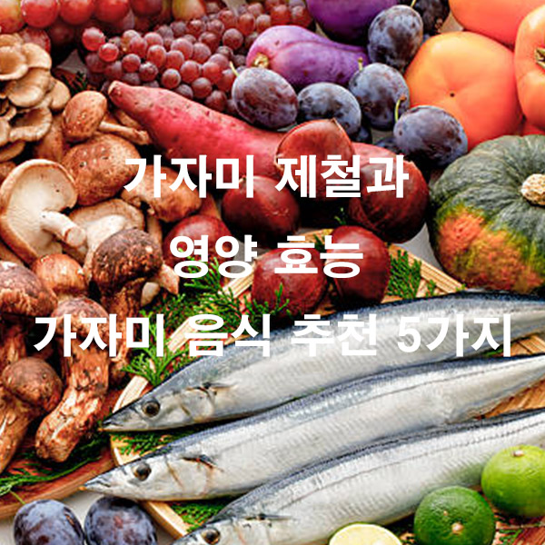가자미 제철과 영양 효능 가자미 음식 추천 5가지