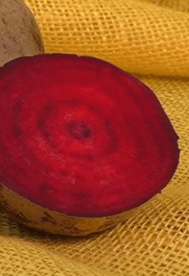 비트_하루_섭취량_먹는방법