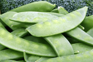 작두콩차 효능07