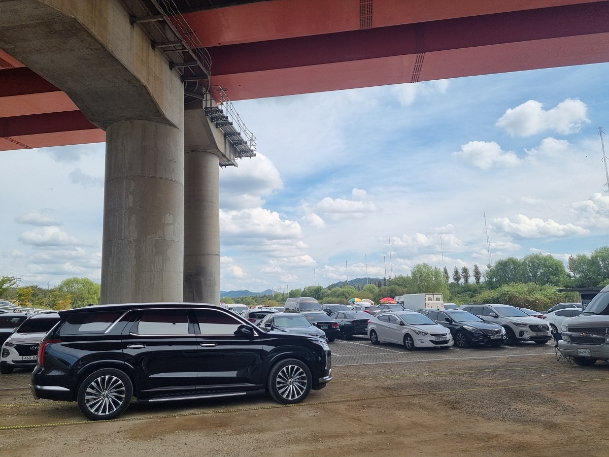 서울 근교 가을꽃 만발한&amp;#44; 경기도 고양시 강매석교공원 창릉천 코스모스축제