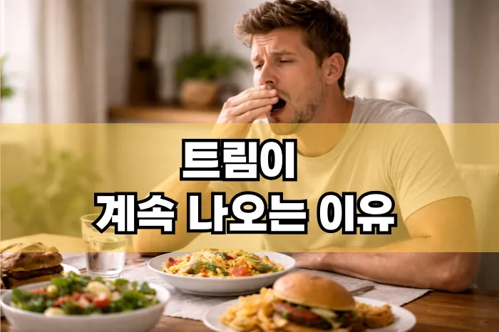 트림이 계속 나오는 이유