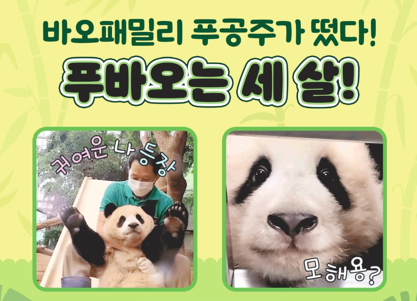 푸바오는 세살