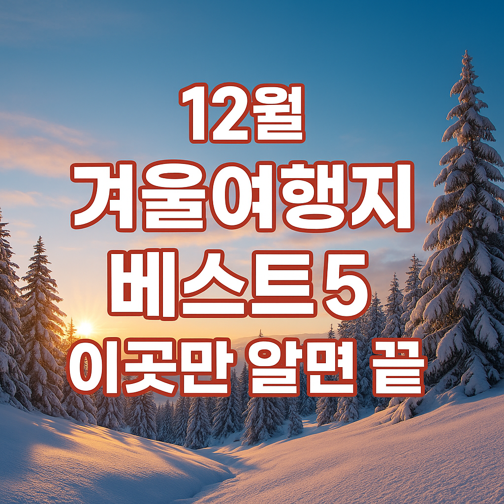 2025년 12월 겨울축제 크리스마스 행사 완벽 가이드 보기
