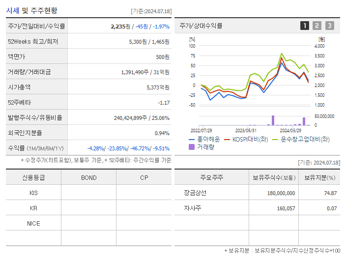 흥아해운_기업개요