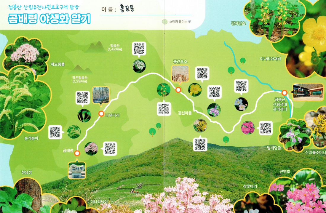 곰배령 예약하기 등산코스 야생화 시기