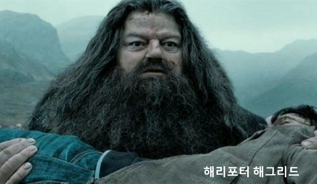해리포터 해그리드 사진입니다