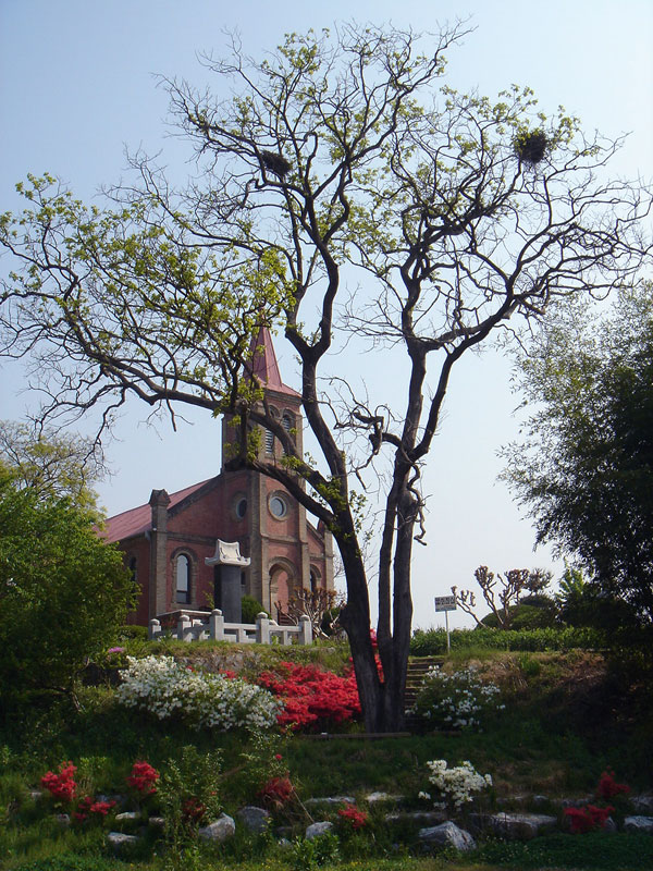 폭삭속았수다 아이유 결혼식 가실성당 들어가는장면 칠곡군가실성당