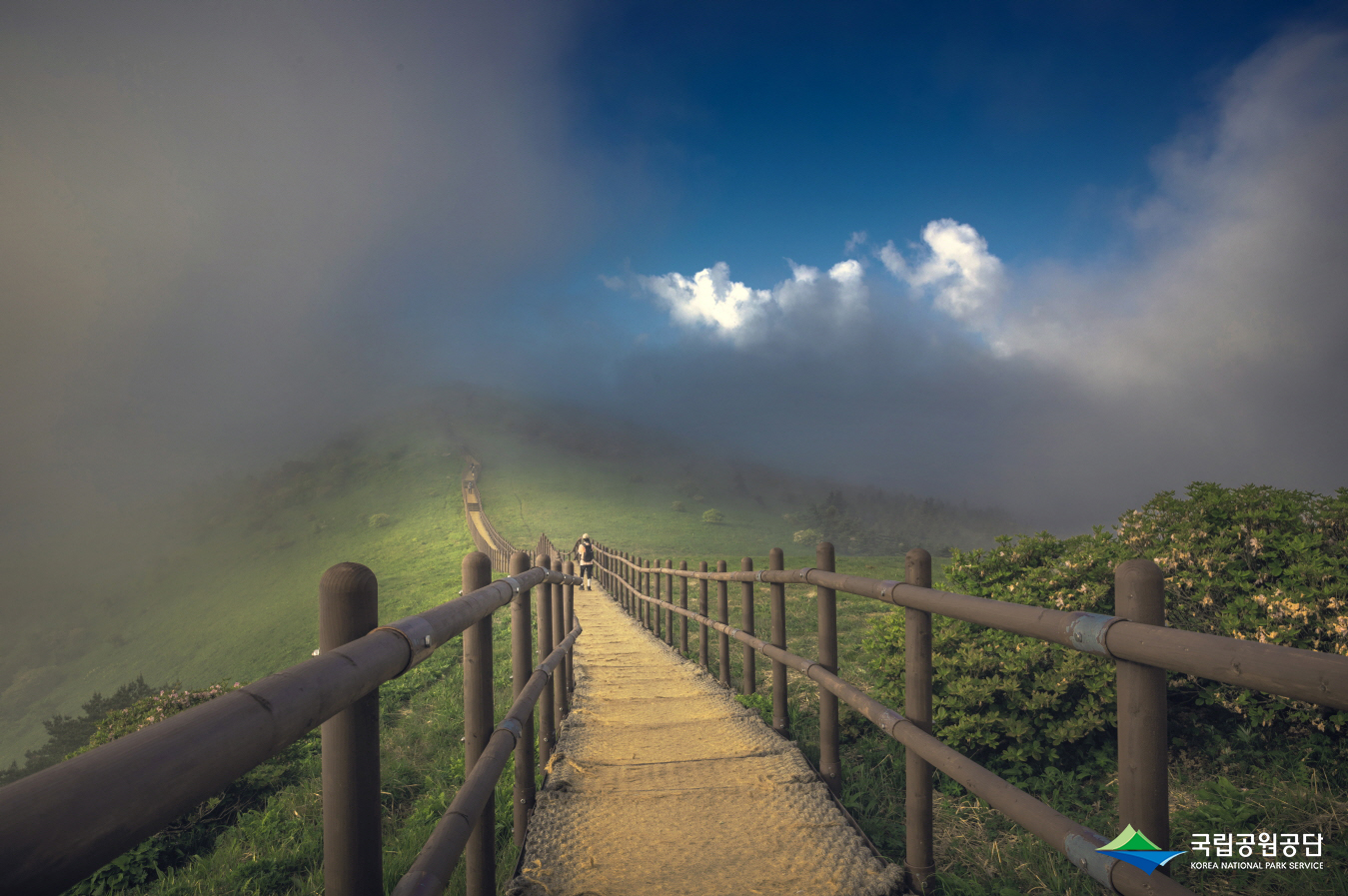 소백산 비로봉 가는길 사진