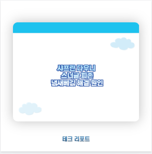 샤프란 다우니 스너글 피존 냄새베김 해결 원인