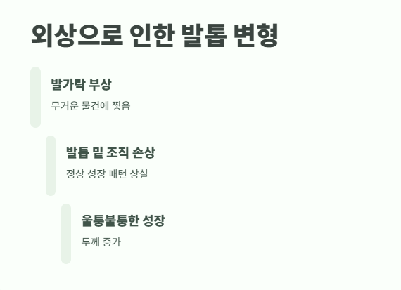 발톱이 두꺼워지는 이유 건강 신호일까 4