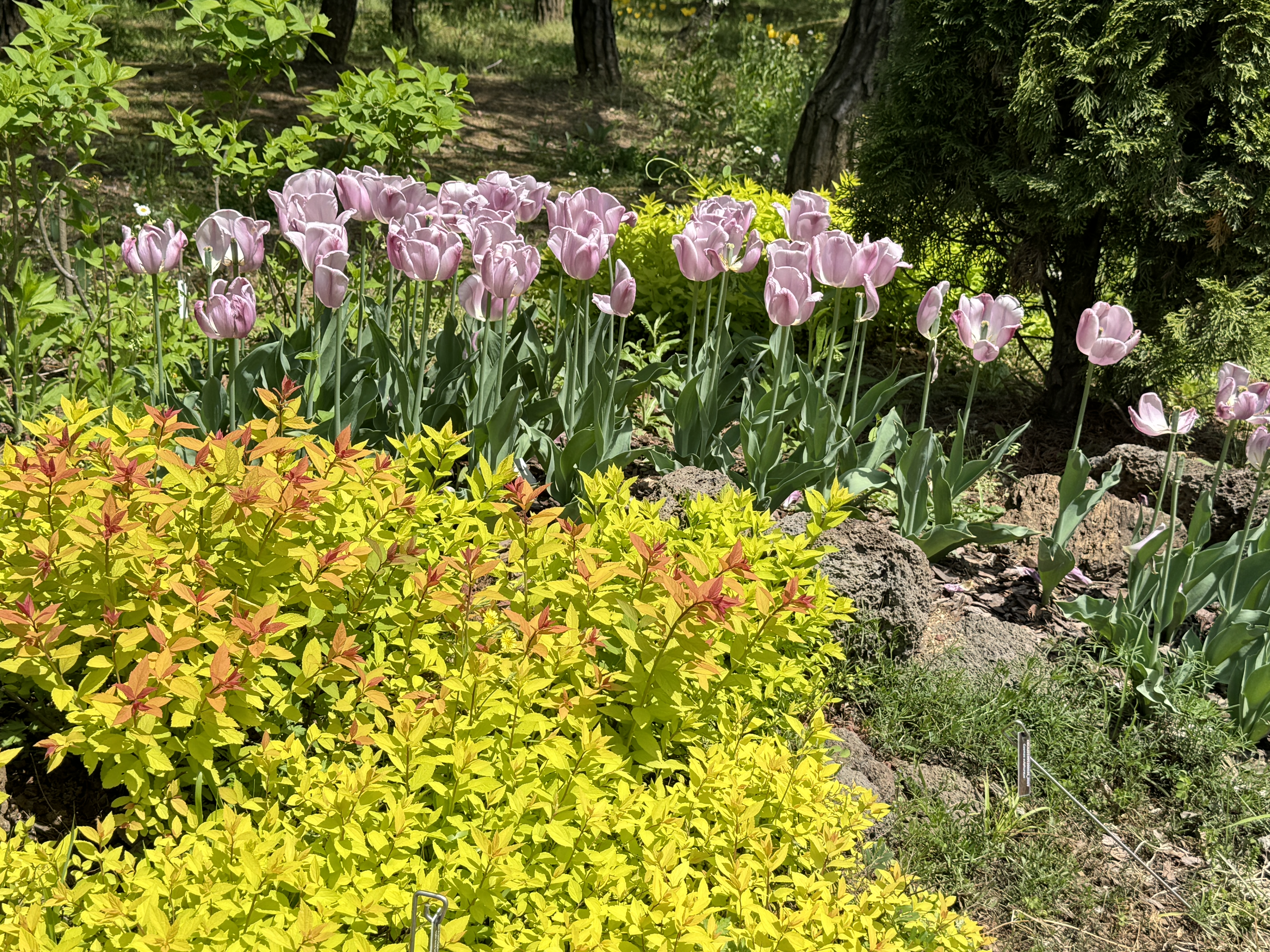 부천자연생태공원