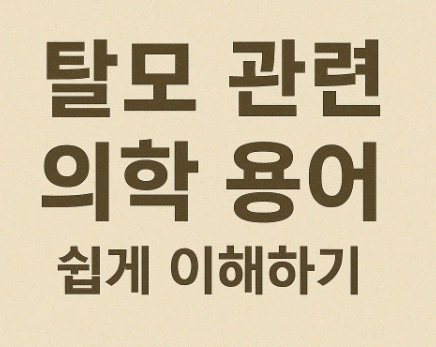 탈모 관련 의학 용어 쉽게 이해하기