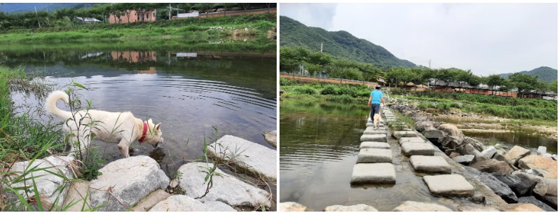 경천애인징검다리길