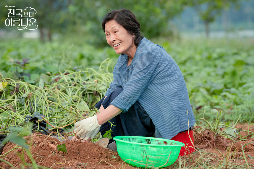 천국보다아름다운, 천국보다아름다운한지민, 천국보다아름다운정체, 천국보다아름다운몇부작, 천국보다아름다운OTT, 천국보다아름다운촬영지