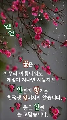 저녁 인사말 이미지 좋은 글귀 모음들_5