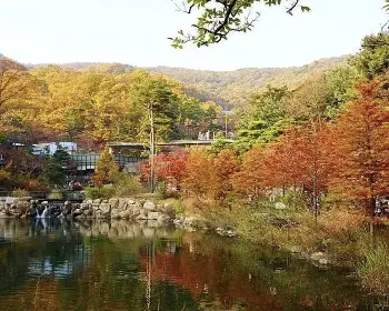화담숲 예약_13