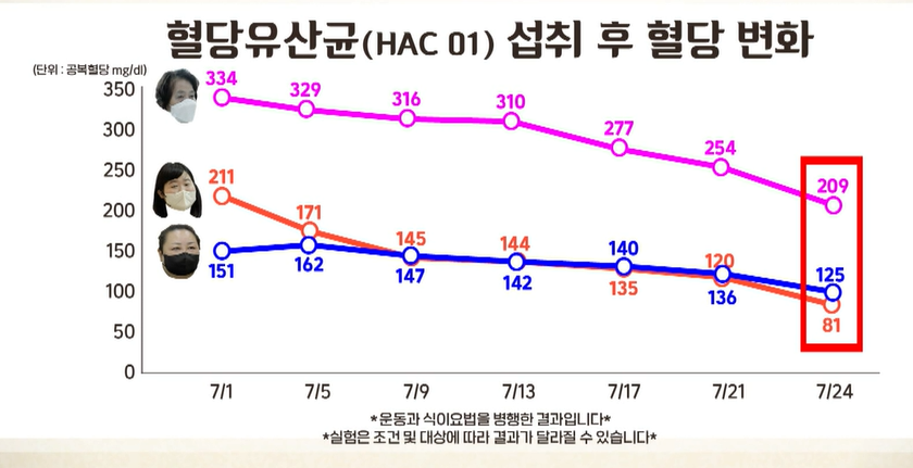 혈당유산균 효능