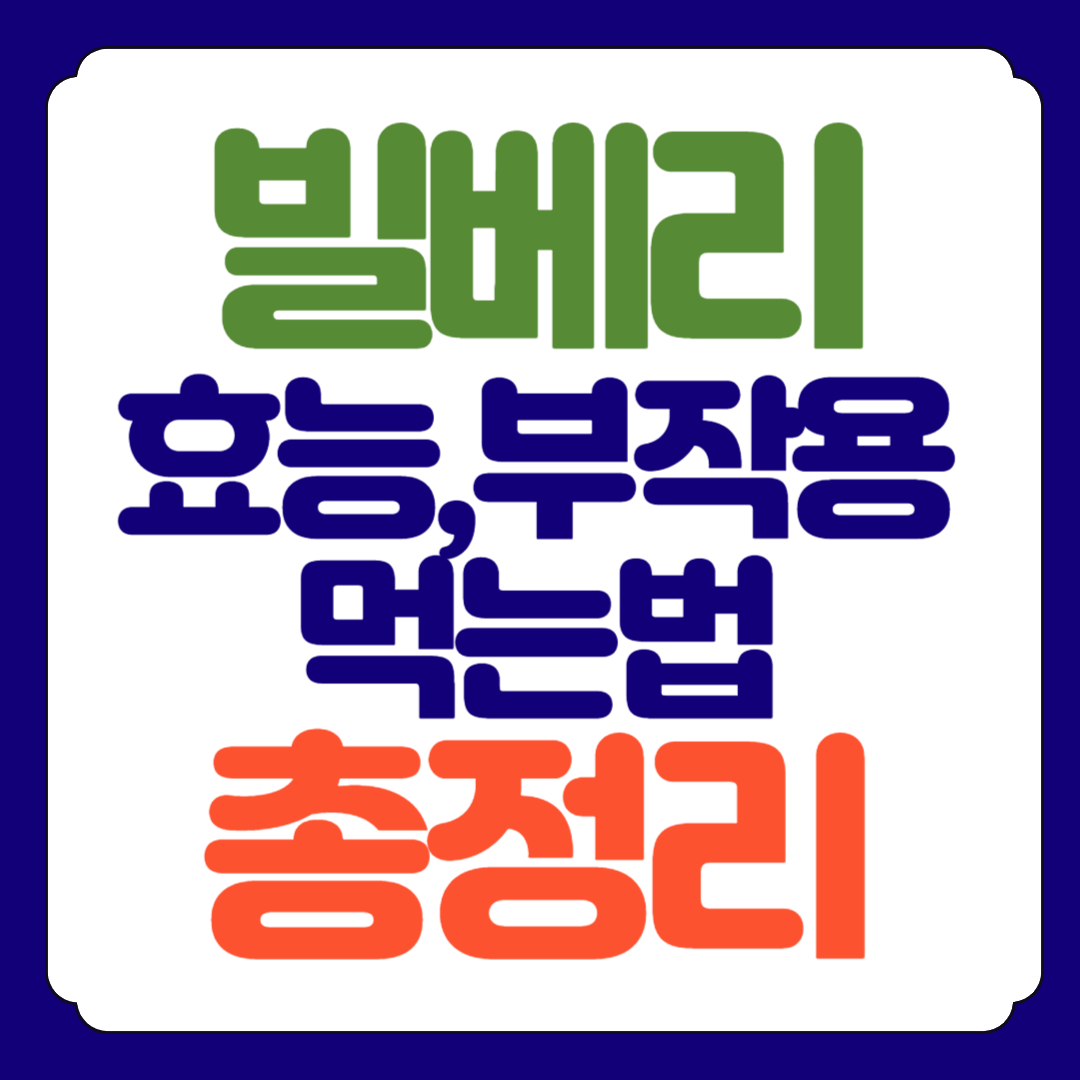 빌베리 효능, 부작용, 가격 총정리