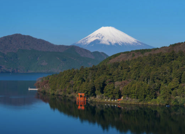 이미지-알트-태그-삽입하는-방법-썸네일