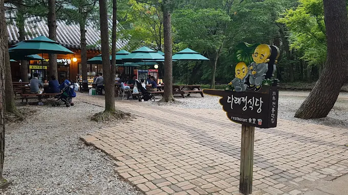 설악산, 속초, 고성 인근 유명한 맛집