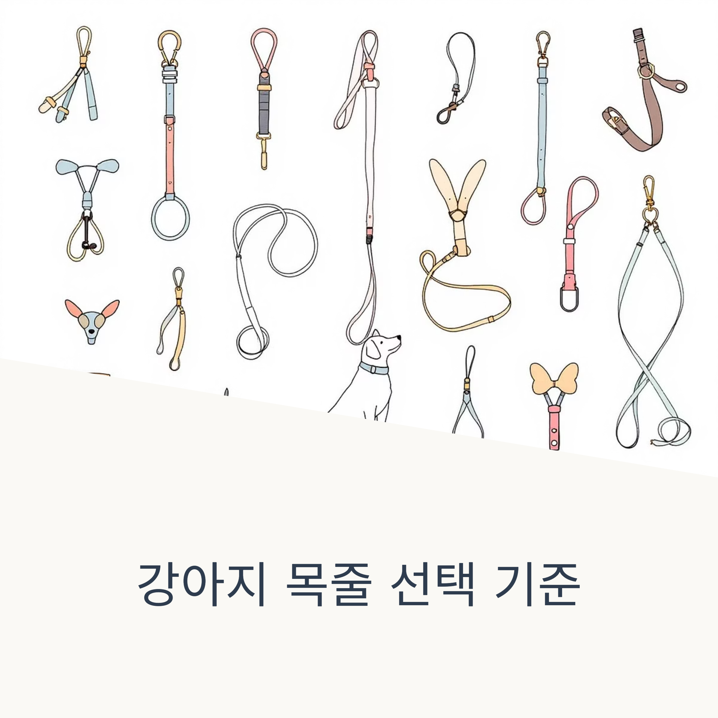 강아지 목줄 선택 기준