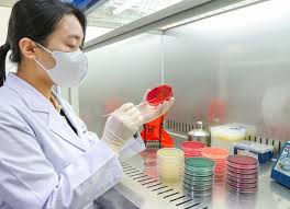 식품위생교육 온라인교육 바로가기