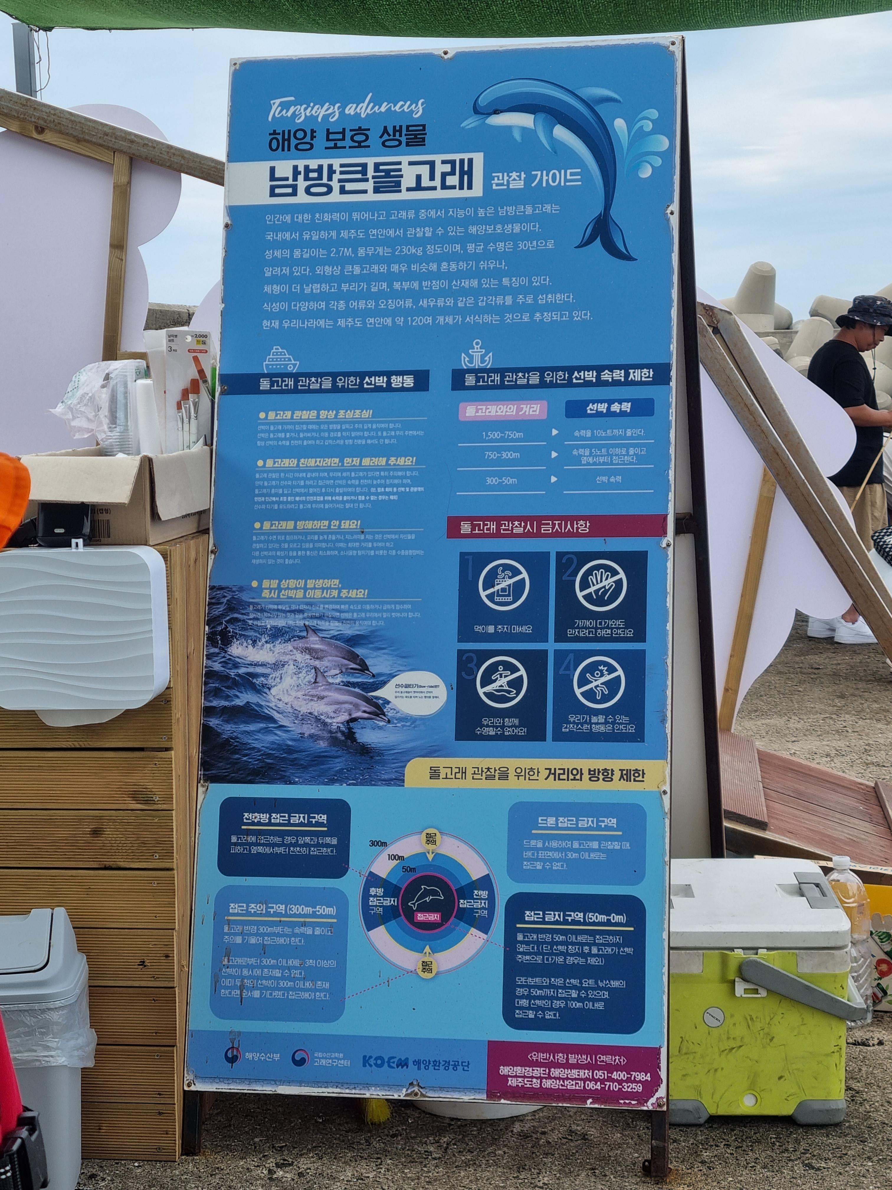 제주돌고래 힐링투어