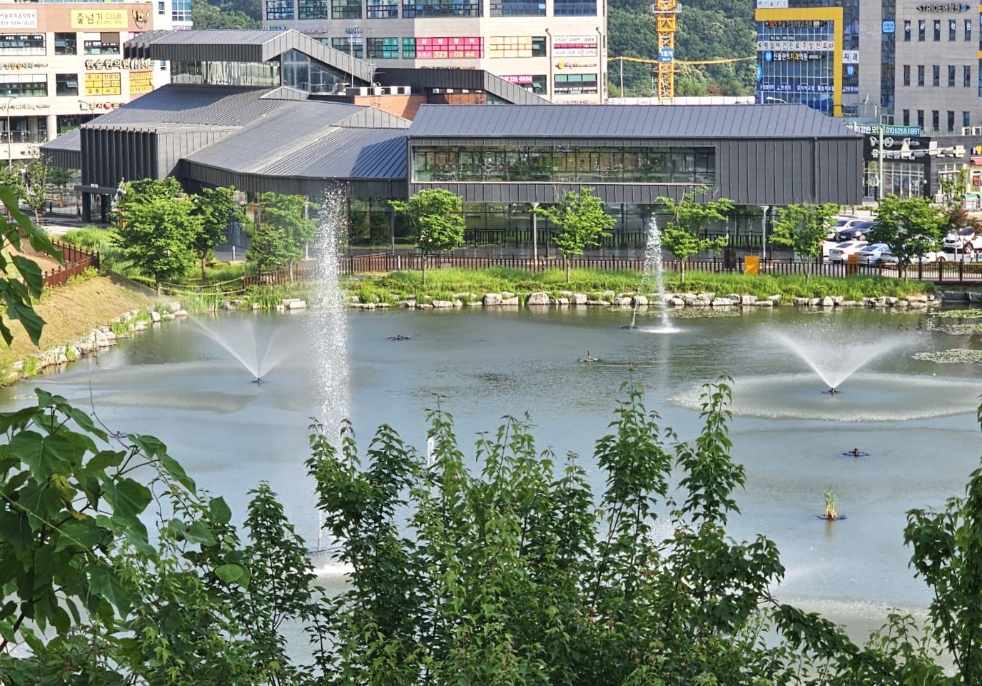 광교 푸른숲도서관