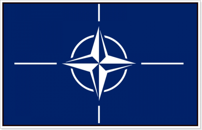 우크라이나와 NATO