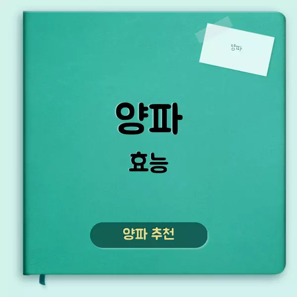 양파 효능