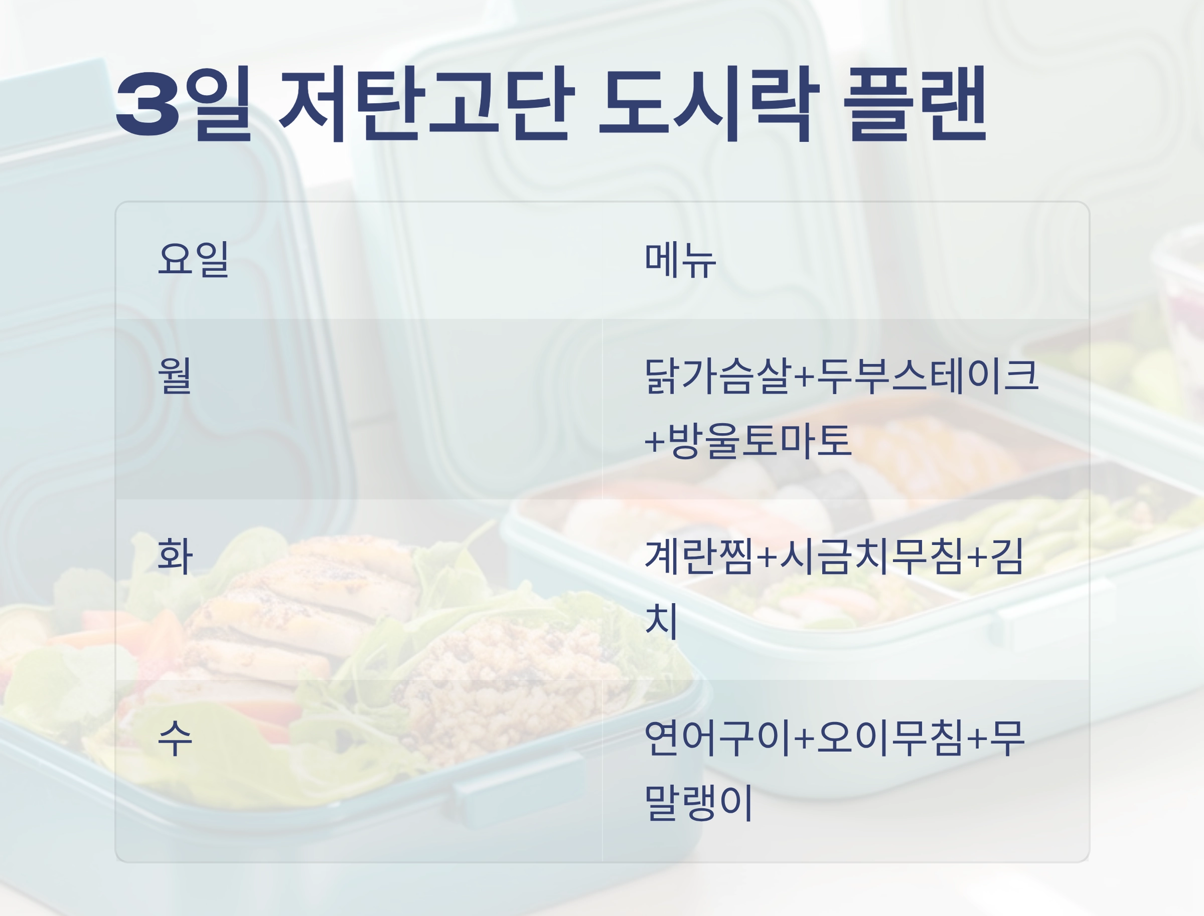 무더위 걱정 끝! 저탄고단 여름 데일리 도시락 추천