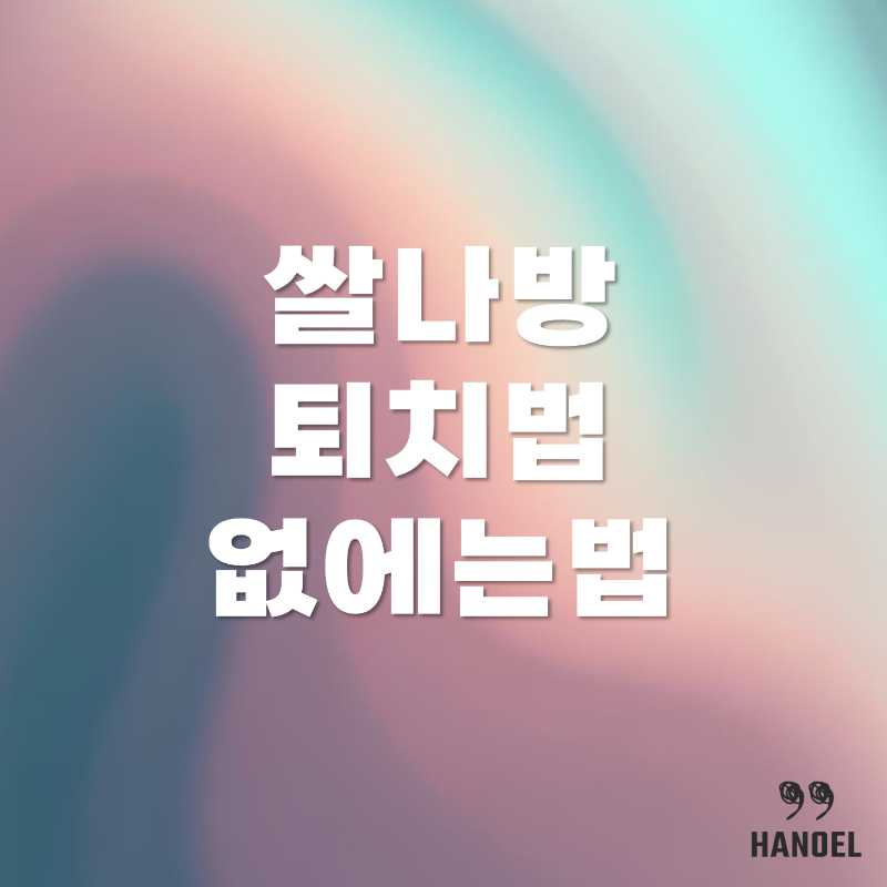 쌀나방 생기는 이유와 없에는 방법 없에는 법 퇴치 법